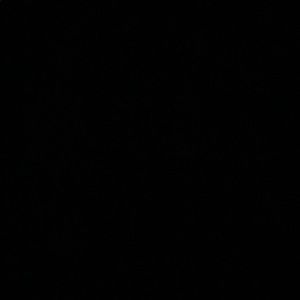 Meet your Posher, Isabelle